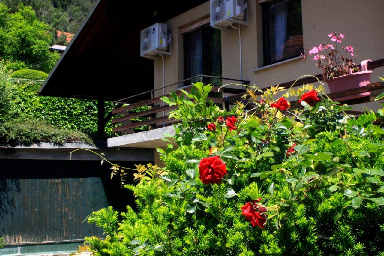 Na Kopitarjevi Hotel Laško Buitenkant foto