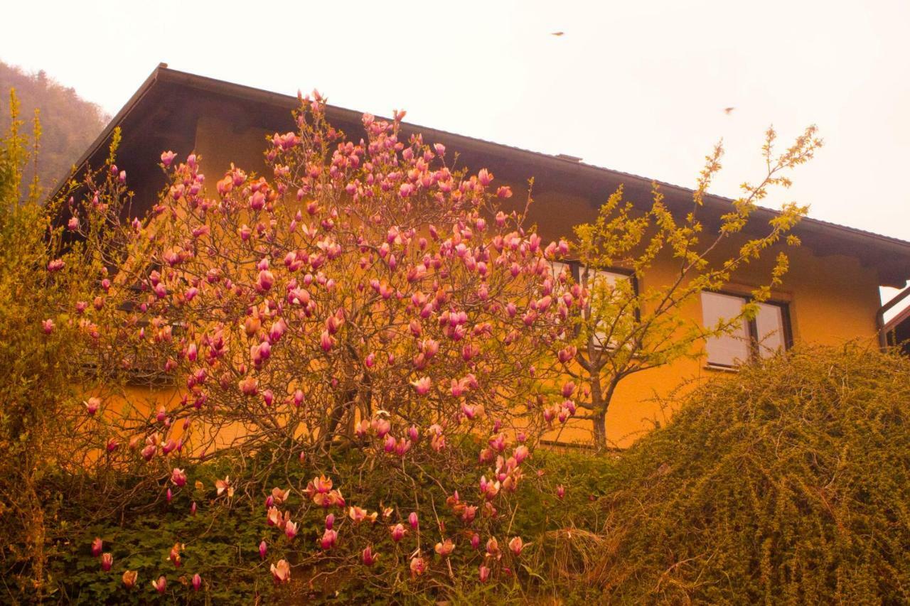 Na Kopitarjevi Hotel Laško Buitenkant foto