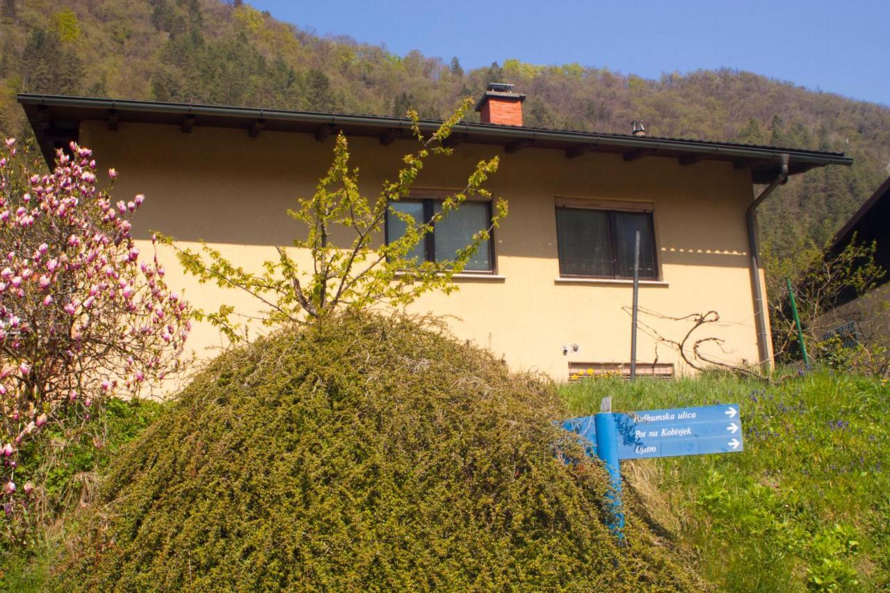 Na Kopitarjevi Hotel Laško Buitenkant foto
